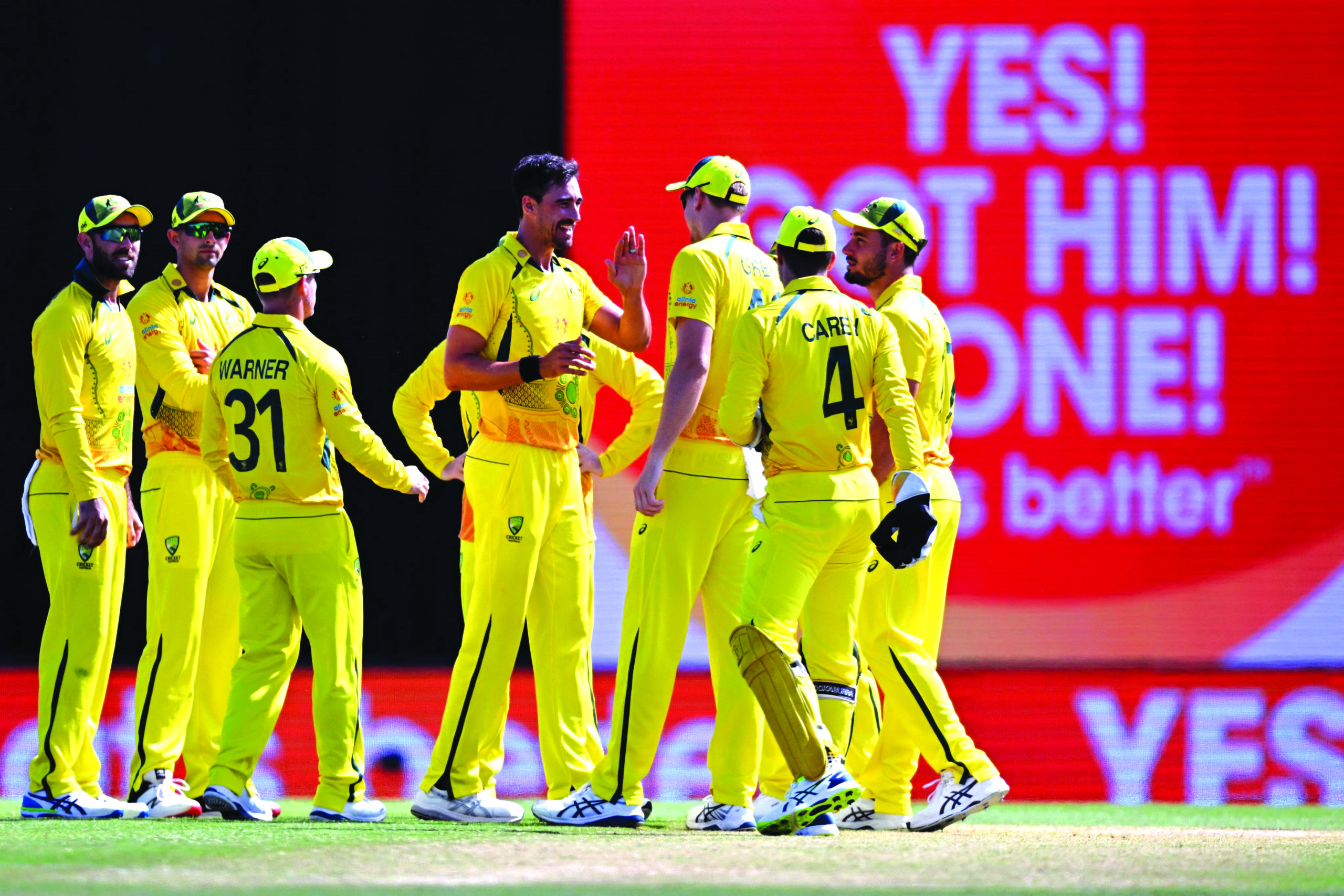 best-live-cricket-streams-platforms-for-watching-international-and-league-matches